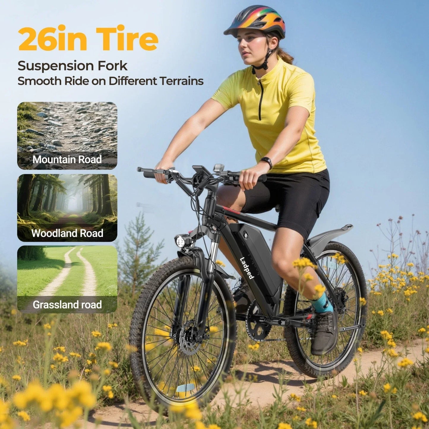 LADPED Electric Bicycle 26inches Tires 750W E-bike 48V 5.2AH E-Mountain Bike 7 Speed Long Range Ebike Adult Electric Bike