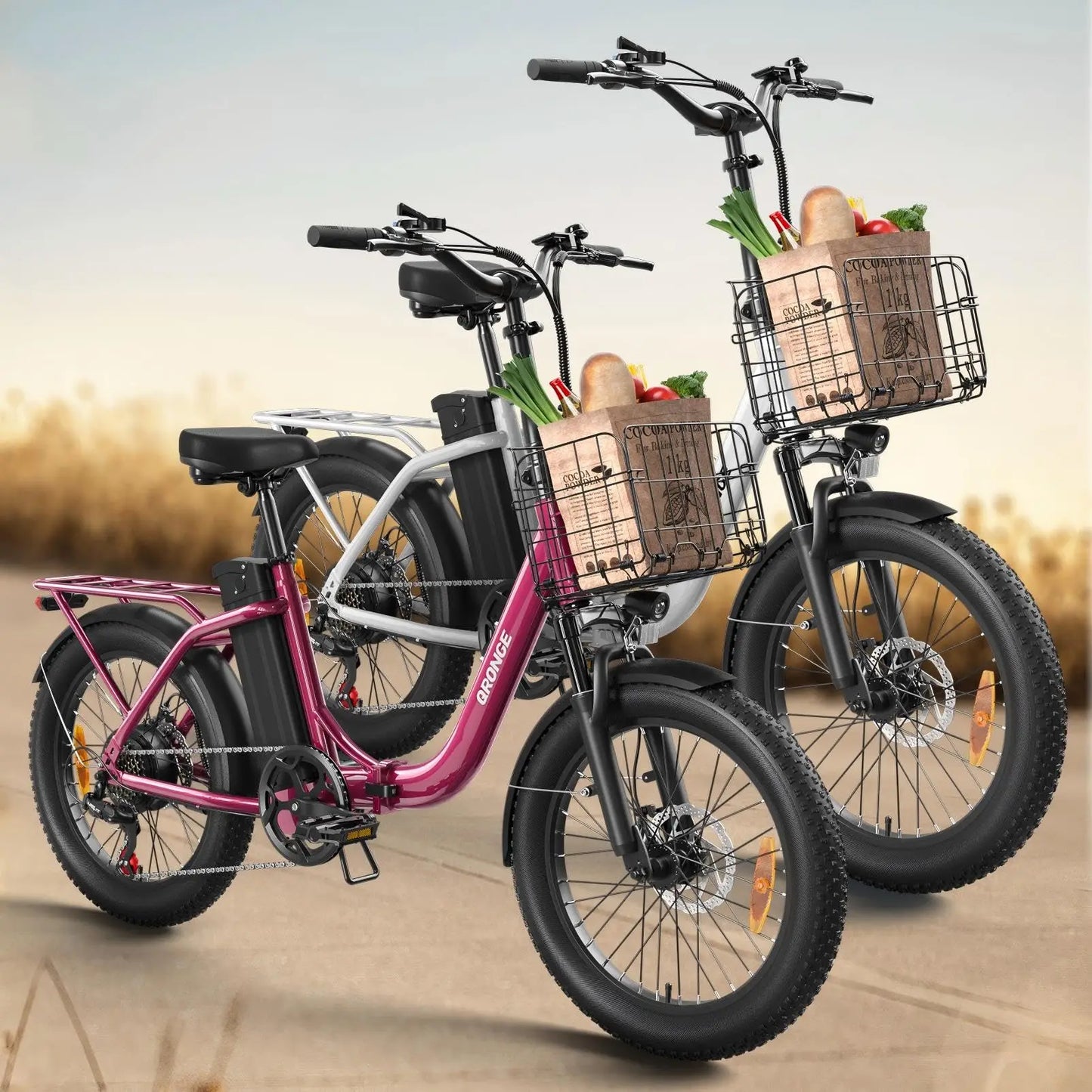 Qronge Mirage Electric Bike Folding 1000W 70 Miles Range