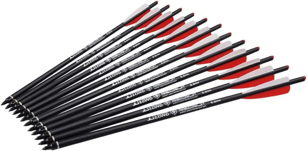 12pcs Crossbow Bolts Carbon Arrows 20 22 inch Hunting Archery Arrows with 3.8" vanes and 100 Grains Replaced Arrowhead Tips