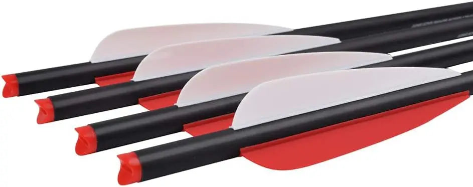 12pcs Crossbow Bolts Carbon Arrows 20 22 inch Hunting Archery Arrows with 3.8" vanes and 100 Grains Replaced Arrowhead Tips