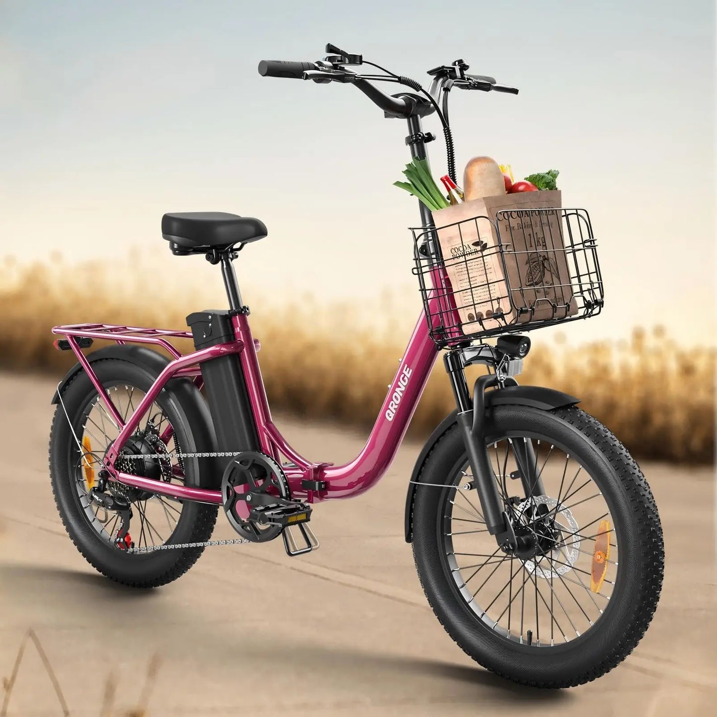 Qronge Mirage Electric Bike Folding 1000W 70 Miles Range