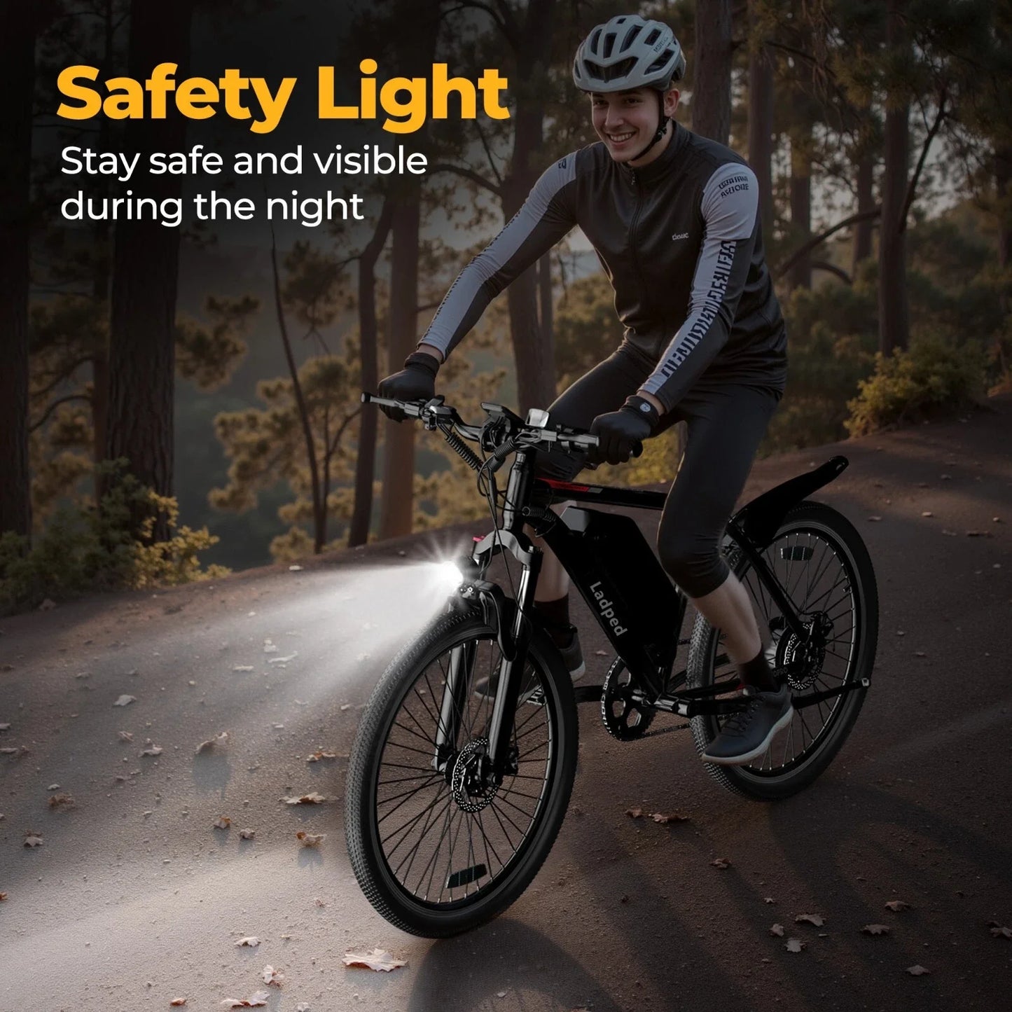 LADPED Electric Bicycle 26inches Tires 750W E-bike 48V 5.2AH E-Mountain Bike 7 Speed Long Range Ebike Adult Electric Bike